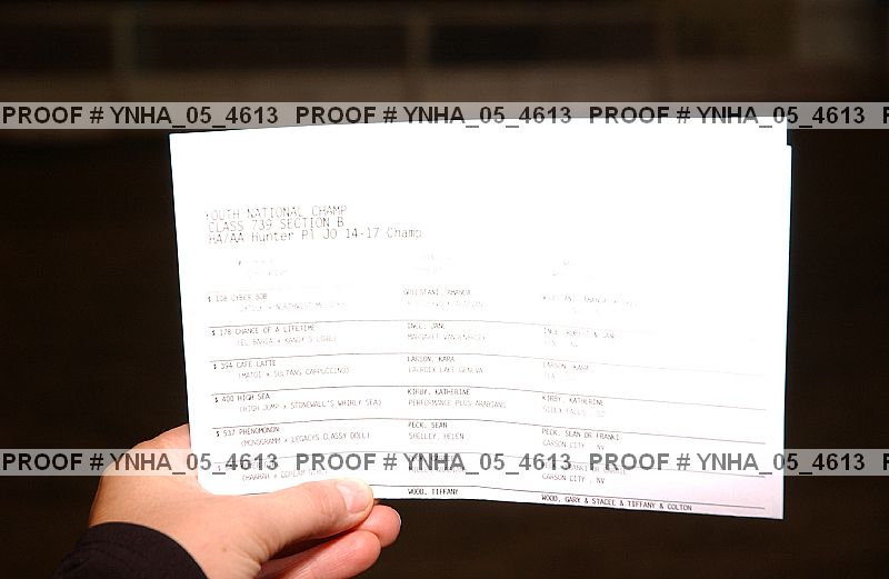 Proof Number ynha_05_4613