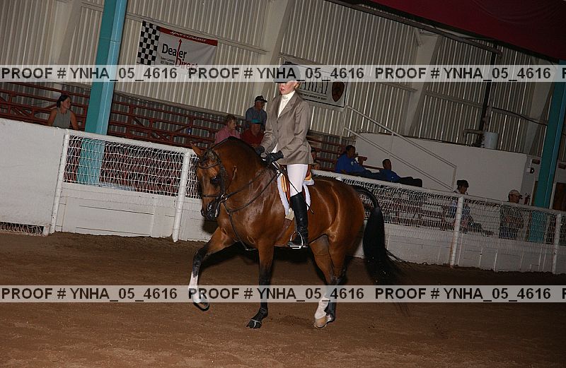 Proof Number ynha_05_4616