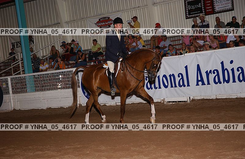 Proof Number ynha_05_4617