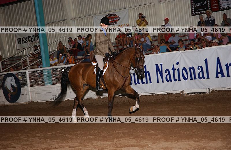 Proof Number ynha_05_4619