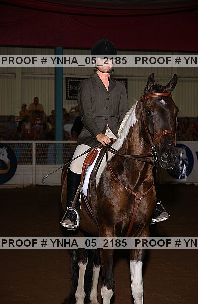Proof Number ynha_05_2185