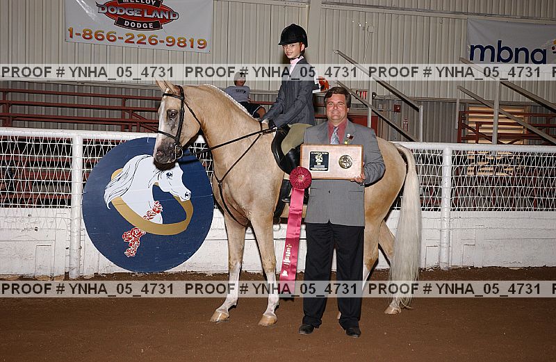 Proof Number ynha_05_4731