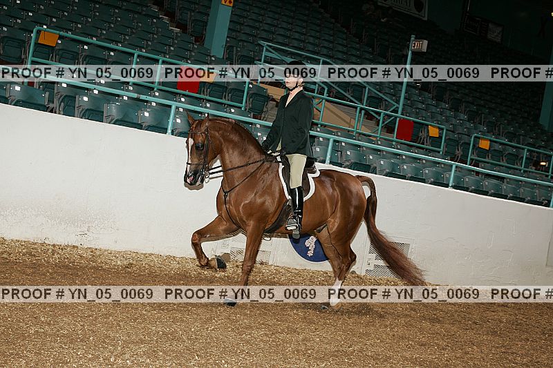 Proof Number yn_05_0069