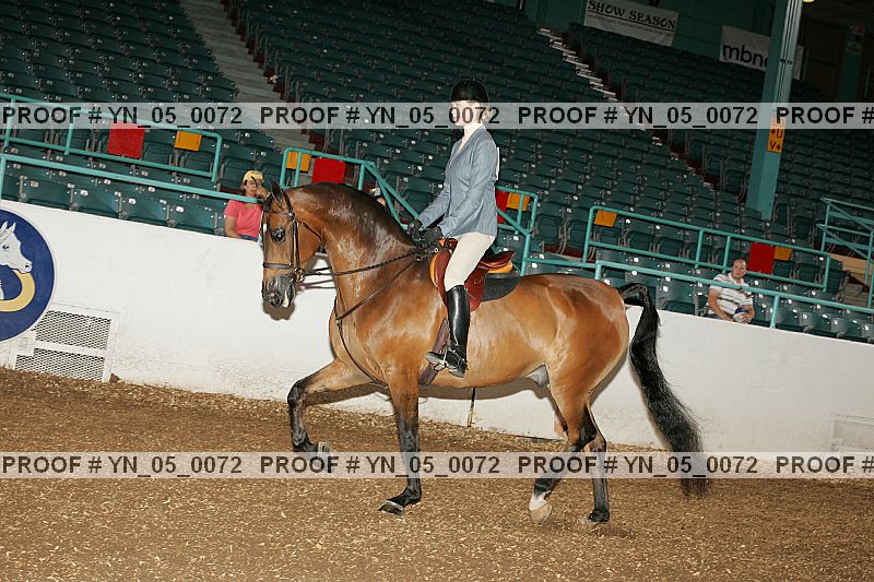 Proof Number yn_05_0072