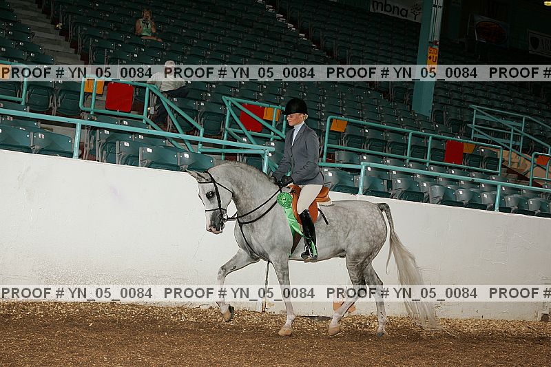 Proof Number yn_05_0084