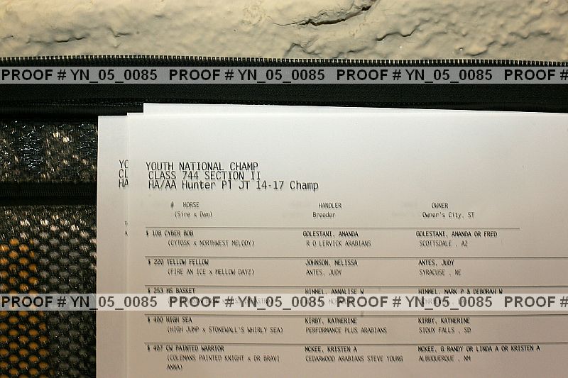 Proof Number yn_05_0085