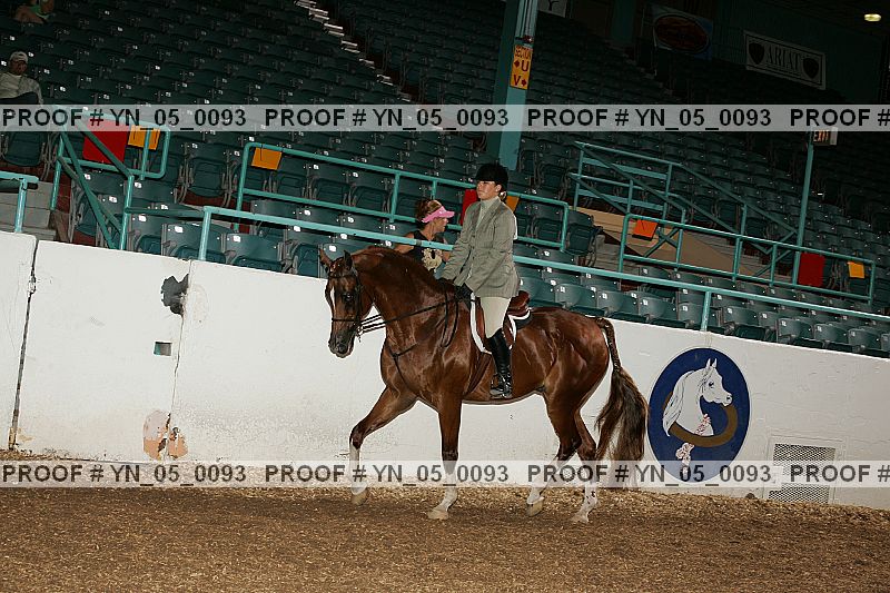 Proof Number yn_05_0093