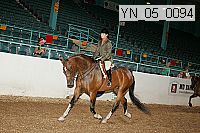 Proof Number yn_05_0094