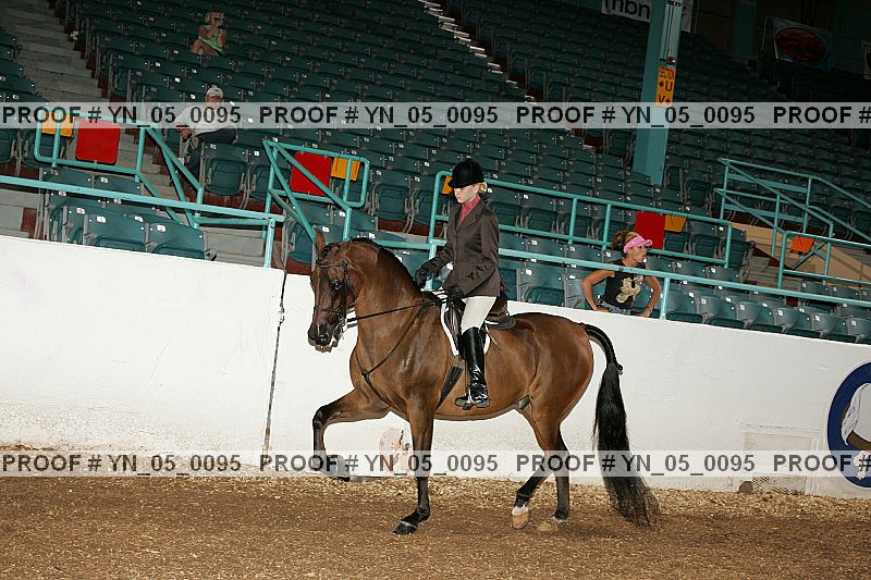 Proof Number yn_05_0095