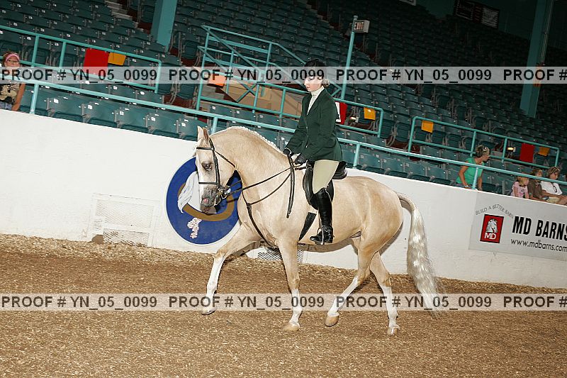 Proof Number yn_05_0099