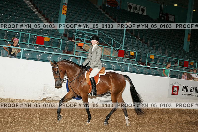 Proof Number yn_05_0103