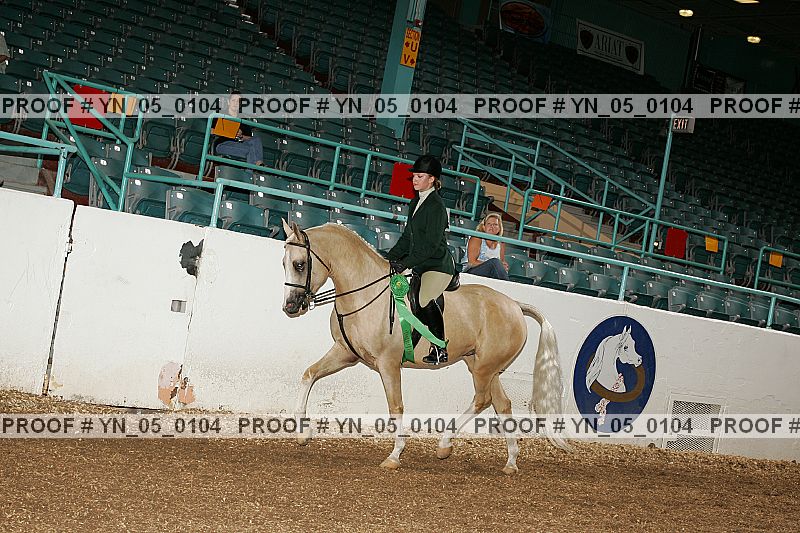 Proof Number yn_05_0104