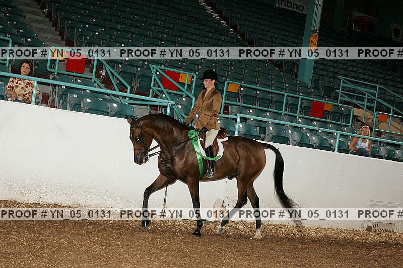 Proof Number yn_05_0131