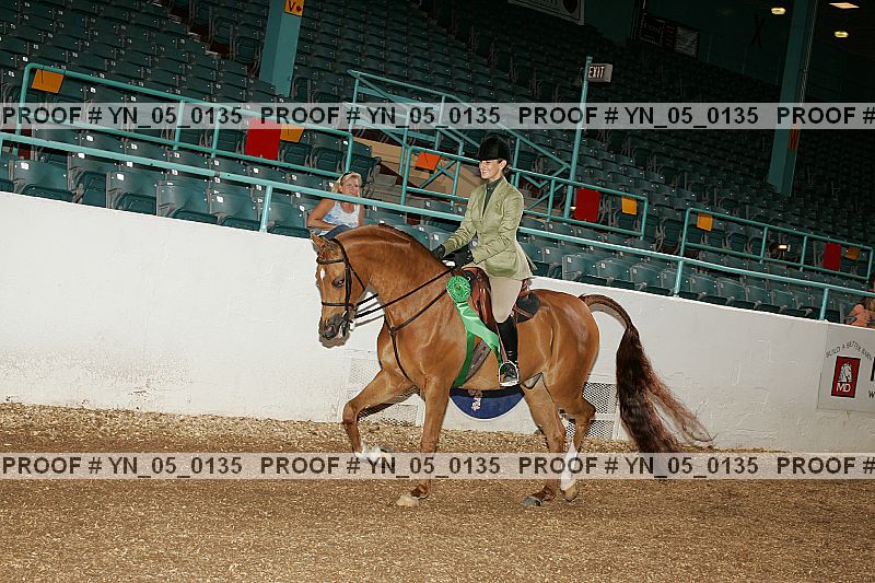 Proof Number yn_05_0135