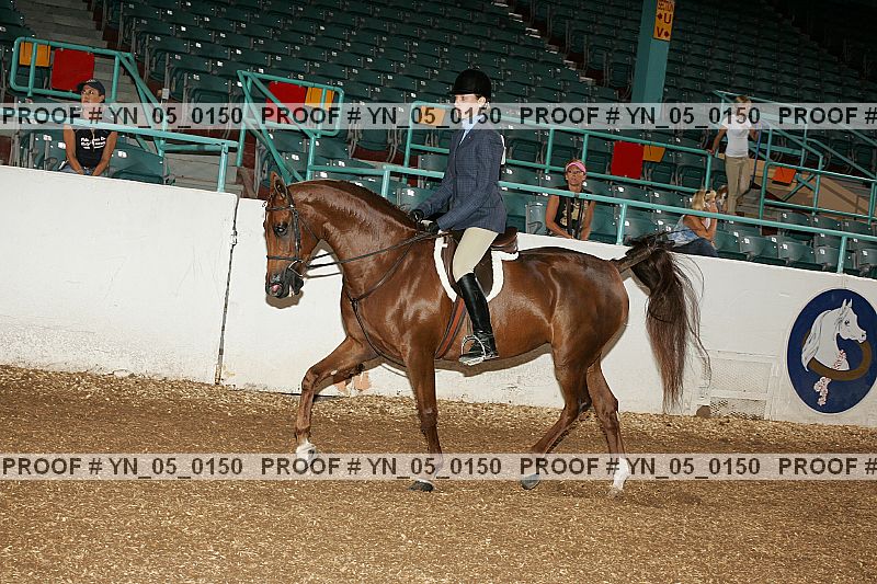 Proof Number yn_05_0150