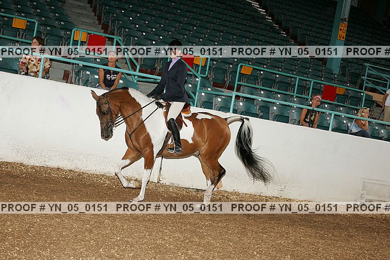 Proof Number yn_05_0151