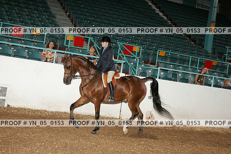 Proof Number yn_05_0153