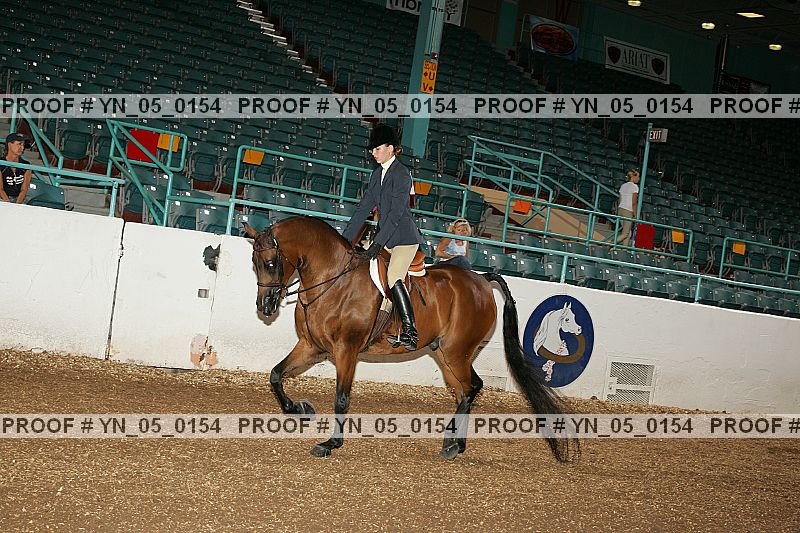 Proof Number yn_05_0154