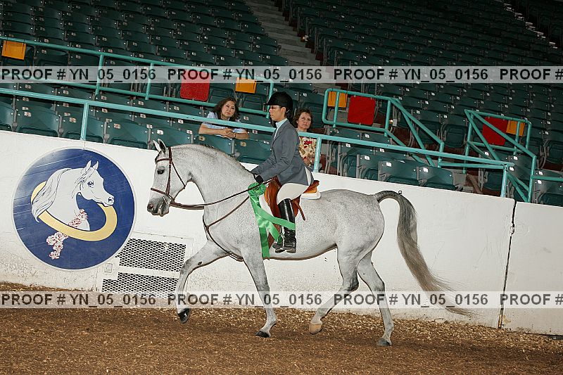 Proof Number yn_05_0156