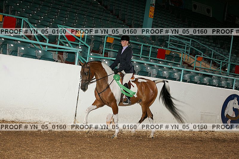 Proof Number yn_05_0160