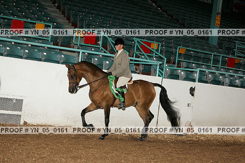 Proof Number yn_05_0161