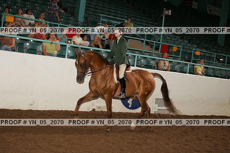Proof Number yn_05_2070