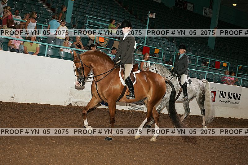 Proof Number yn_05_2075