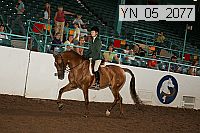 Proof Number yn_05_2077