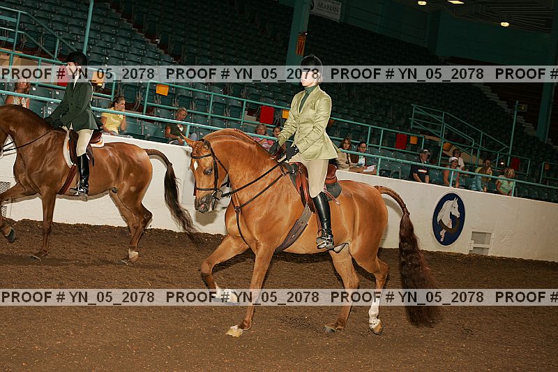 Proof Number yn_05_2078