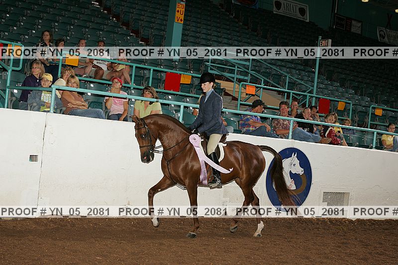 Proof Number yn_05_2081