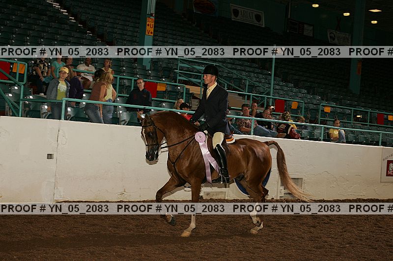 Proof Number yn_05_2083