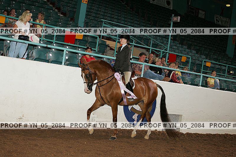 Proof Number yn_05_2084