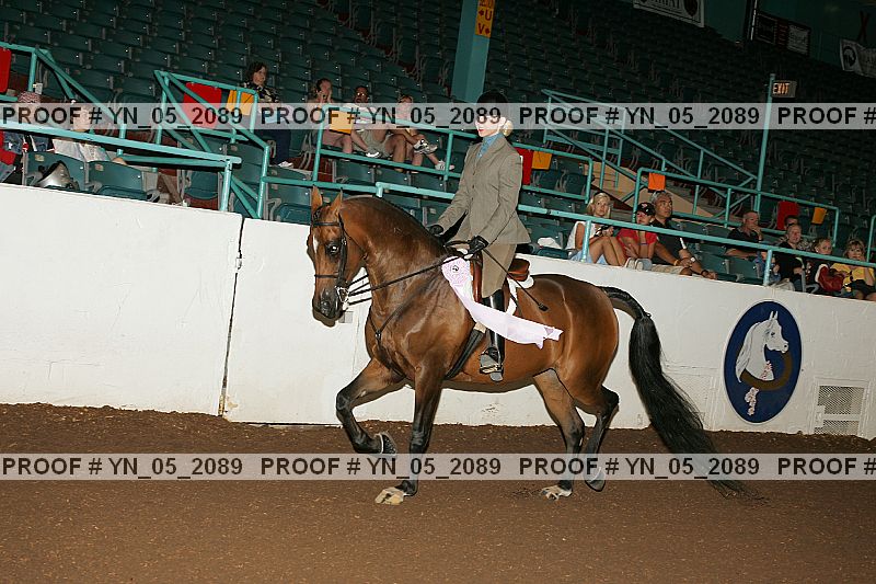 Proof Number yn_05_2089