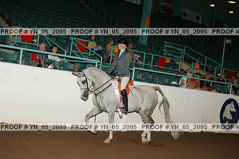 Proof Number yn_05_2095