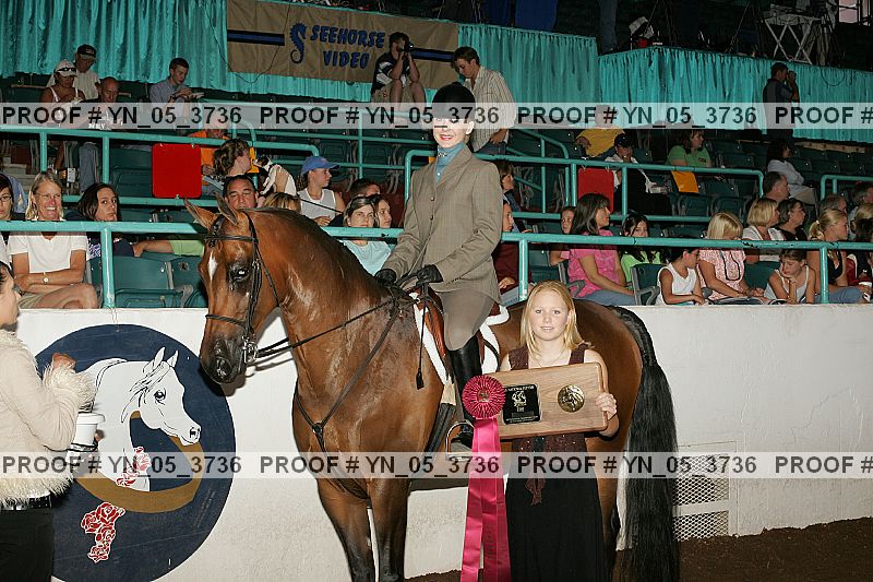 Proof Number yn_05_3736