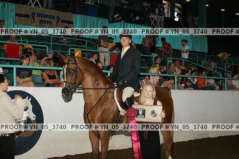 Proof Number yn_05_3740