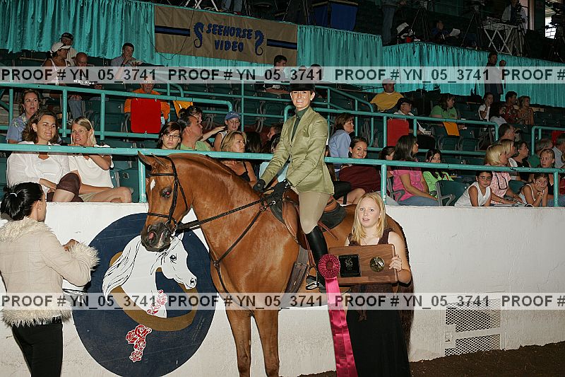 Proof Number yn_05_3741