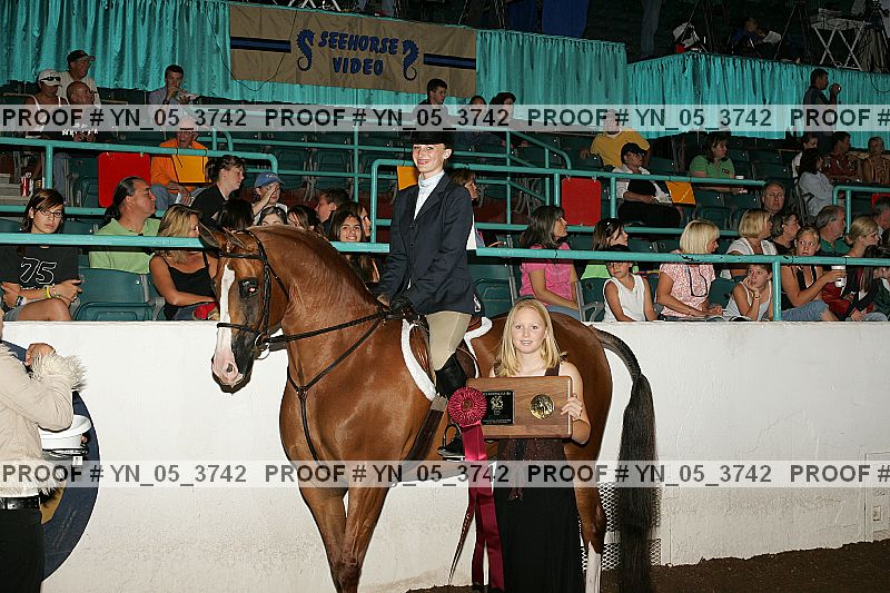 Proof Number yn_05_3742