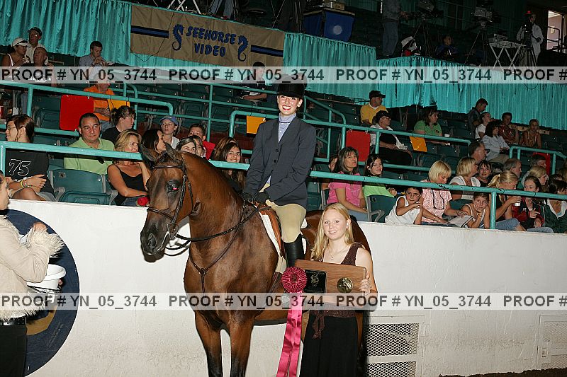 Proof Number yn_05_3744