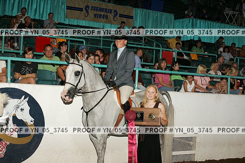 Proof Number yn_05_3745