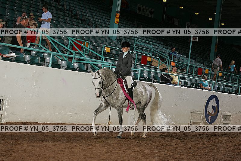 Proof Number yn_05_3756