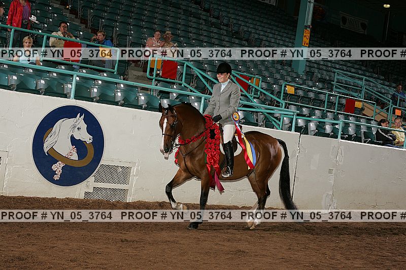 Proof Number yn_05_3764