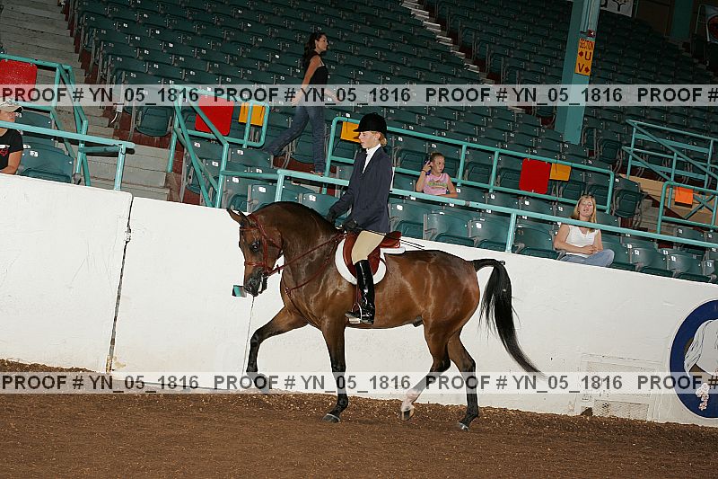 Proof Number yn_05_1816