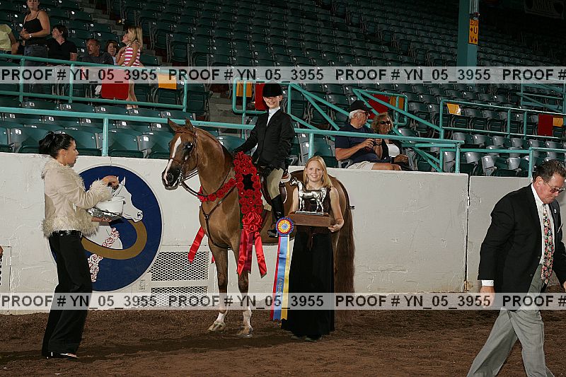 Proof Number yn_05_3955