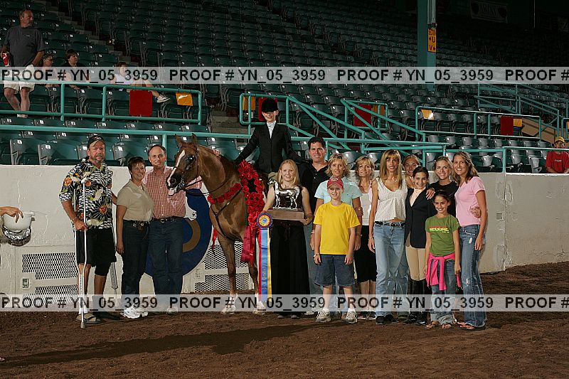 Proof Number yn_05_3959