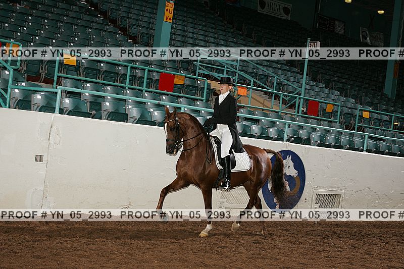 Proof Number yn_05_2993
