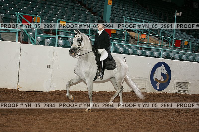 Proof Number yn_05_2994