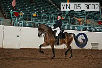 Proof Number yn_05_3002