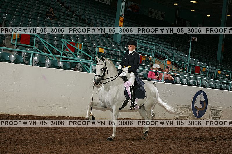 Proof Number yn_05_3006