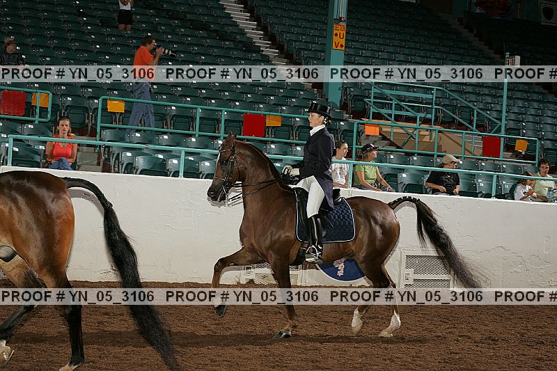Proof Number yn_05_3106